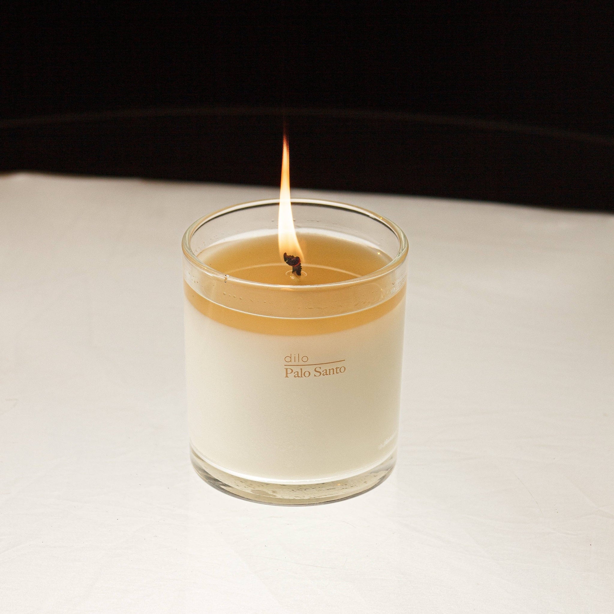Palo Santo Candle / 9 oz