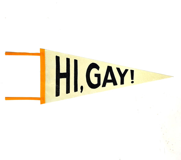 Hi, Gay! Retro Pennant