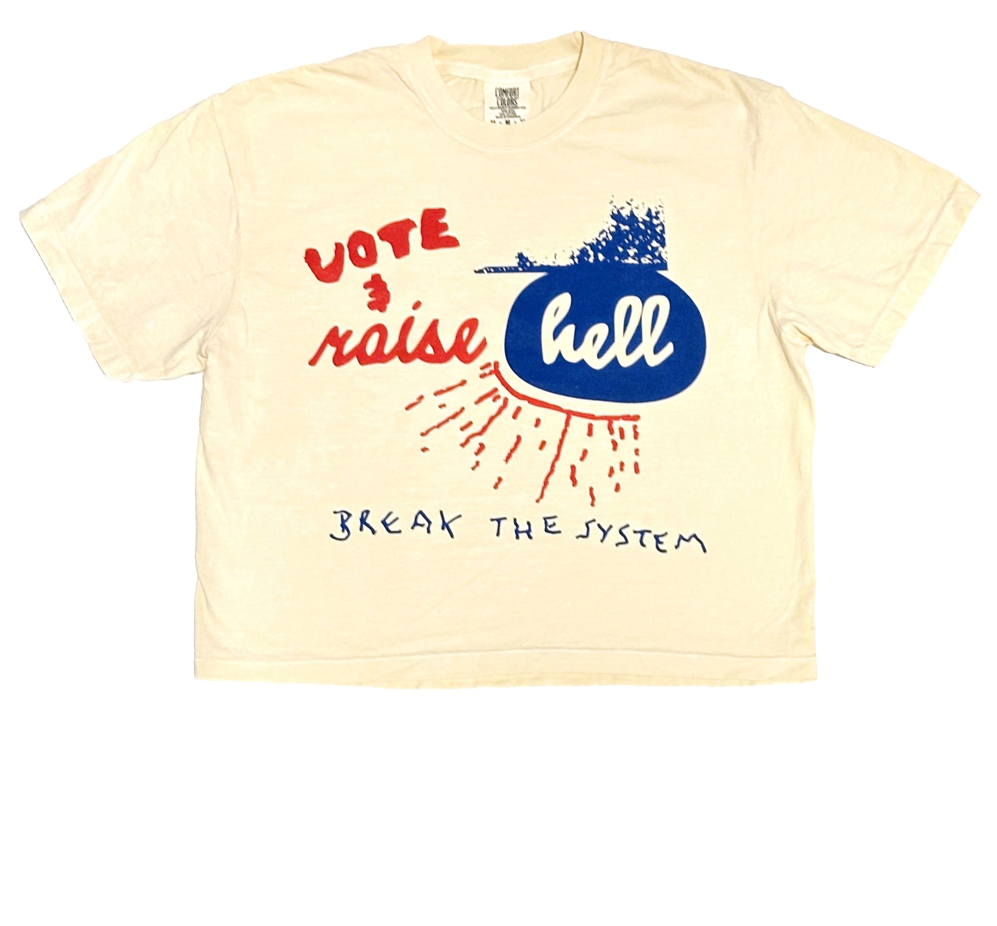 VOTE & Raise Hell Cropped Tee